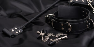 BDSM Nipple Clamps, Collar & Whip